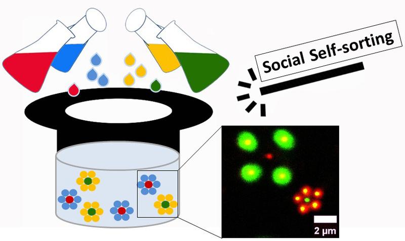 Scientists synthesized four kinds of gel particles, which can co-assemble into different objects. The illustration visualizes this process using colored droplets. 