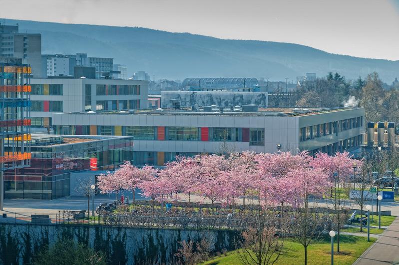 Blick auf die Universitäts-Frauenklinik. Das Brustzentrum an der Klinik gehört zu den größten in Deutschland.