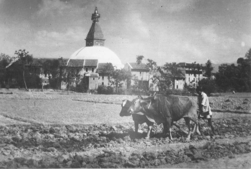 Ein Foto von der Stupa in Bodnath, welches um ca. 1900 entstanden sein dürfte. 