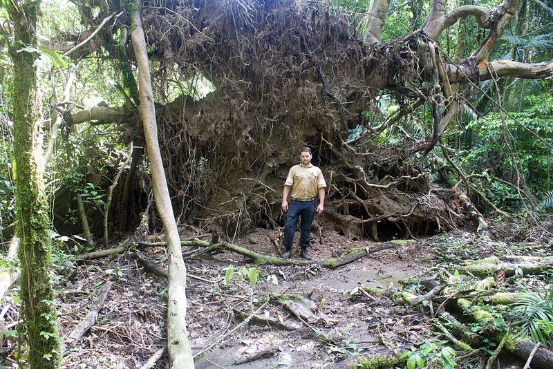 Micah Dunthorn sammelte im Regenwald Bodenproben ein.
