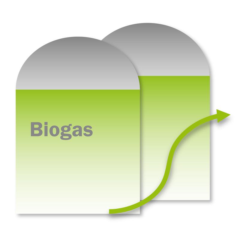 Biogas2030