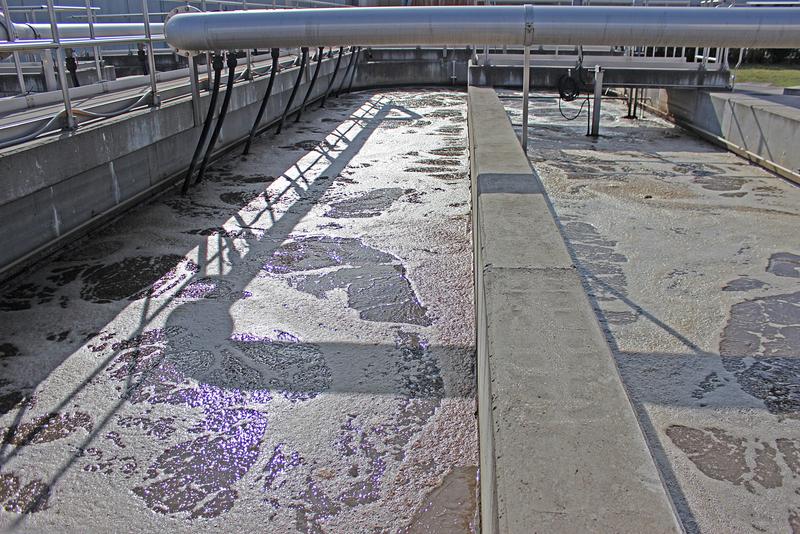 Kläranlage Klosterneuburg. In diesem unscheinbaren Becken zur Abwasserreinigung verbergen sich riesige Viren mit ungewöhnlichen, völlig unerwarteten Eigenschaften.