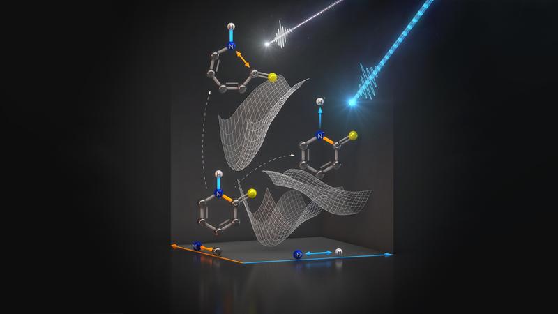 Die Experimente zeigen: Lichtpulse können Wasserstoffkerne ablösen, ohne weitere Bindungen im Molekül zu zerstören. 
