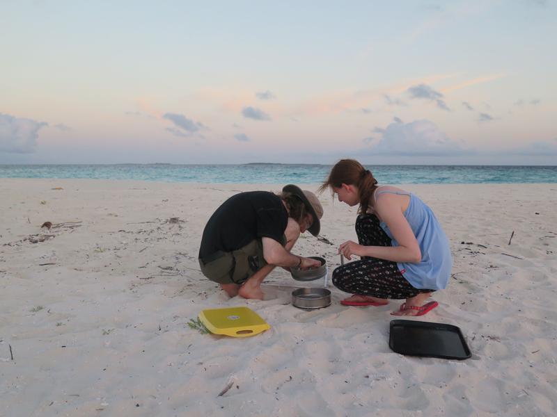 Am Strand der Malediven-Insel Vavvaru sieben Bayreuther Studierende den Sand aus. Nur Partikel, die größer als ein Millimeter sind, werden später im Labor auf der Insel untersucht.