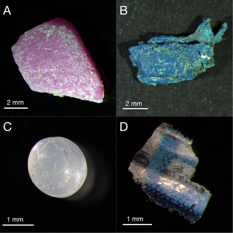 Beispiele für Mikroplastik am Strand der Malediven-Insel Vavvaru: Fragmente aus Polyethylen und Polyurethan (A und B); ein Pellet aus Polyethylen (C); ein Stück Folie aus Polypropylen (D).