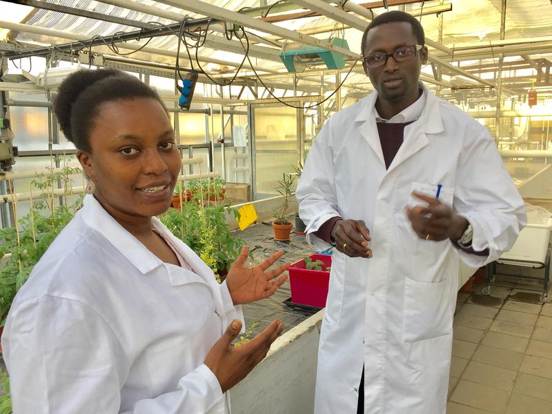 Mary Wang´ombe and Badou Mendy from the Department of Molecular Phytomedicine at the University of Bonn. 