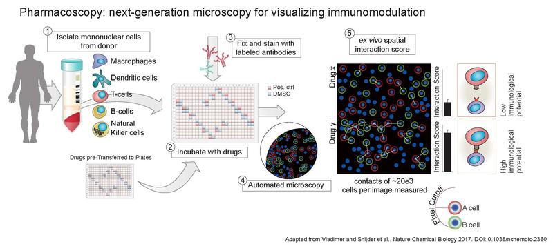 Schematische Darstellung des Pharmacoscopy-Prinzips 