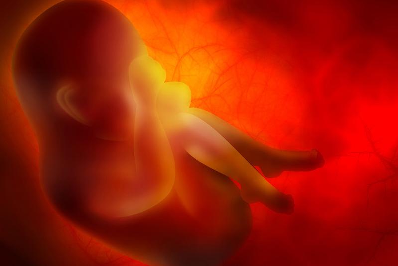 Ist die Mutter während der Schwangerschaft besonders stark durch Phthalate belastet, besteht für die Kinder ein größeres Risiko für allergisches Asthma. 