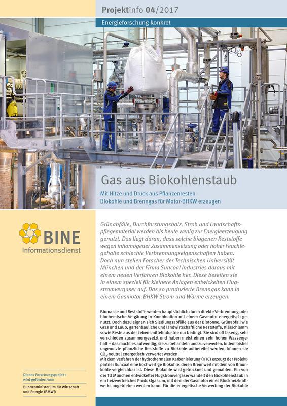 Das BINE-Projektinfo „Gas aus Biokohlenstaub treibt Motor-BHKW an“ (04/2017)