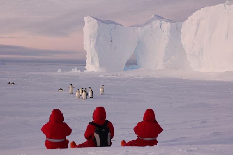 Mitglieder des 36. Neumayer-Überwintererteams beobachten aus gebührendem Abstand ein paar Kaiserpinguine.