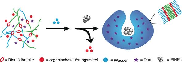Nanomedizinisches Liefersystem