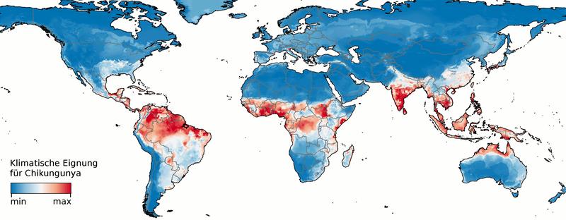 Die Karte zeigt, in welchen Regionen der Welt die klimatischen Verhältnisse für eine Übertragung des Chikungunya-Virus heute besonders günstig sind.