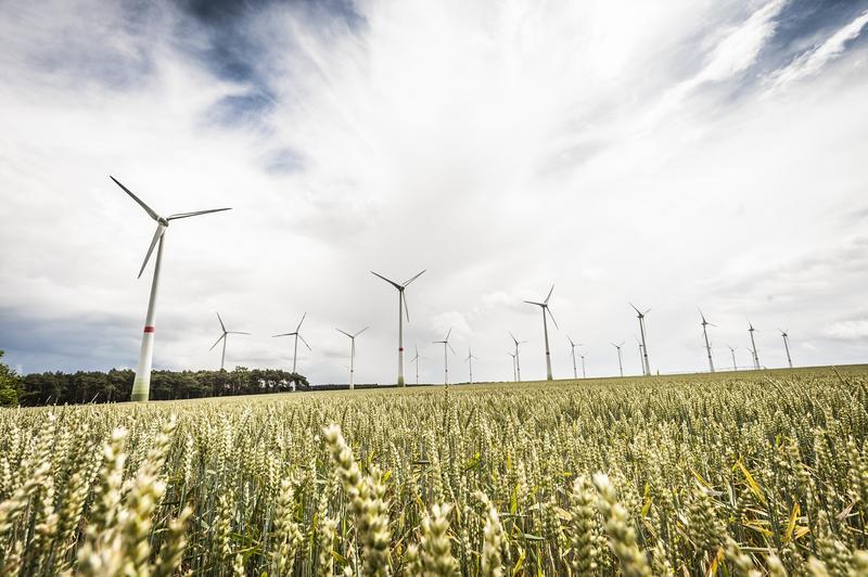 Subventionen für Kohle, Öl und Gas können den Aufbau grüner Energien behindern. Foto: Windräder (Deutschland) 