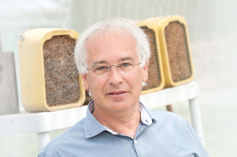 Prof. Manfred Ayasse forscht am Institut für Evolutionsökologie und Naturschutzgenomik der Universität Ulm