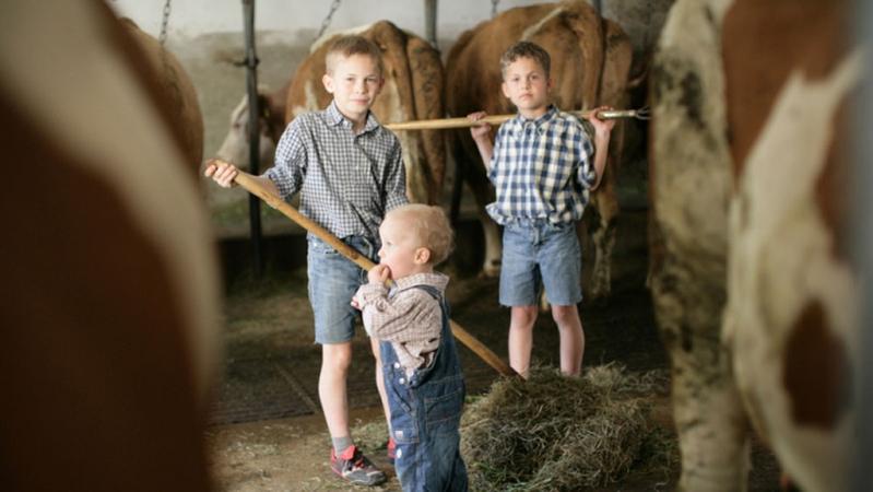 Eine Sialinsäure schützt Bauernkinder vor Asthma.