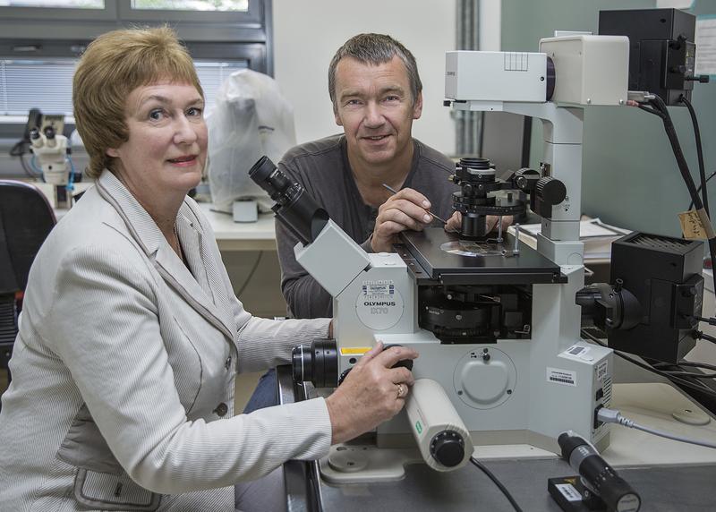 Professor Hendrik Schubert und seine  Kollegin Dr. habil. Irena V. Telesh aus St. Petersburg im Labor beim Vorbereiten einer Zooplanktonprobe für das Laserscrining-Mikroskop. 