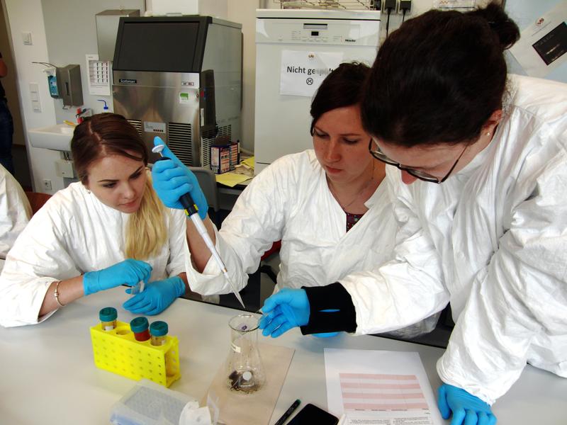 Studierende im Labor des Studiengangs Medizintechnik der OTH Amberg-Weiden