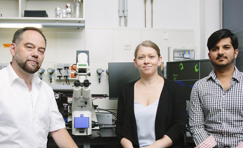 Prof. Dr. Oliver Stork, Dr. Dr. Anne Albrecht und Syed Ahsan Raza (v.li.n.re.) haben herausgefunden, wie unser Gehirn die Speicherung von unterschiedlich wichtigen Informationen kontrolliert.