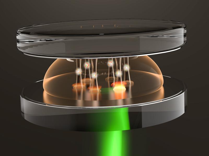 Potential wells The artist's rendering shows how potential wells are created for the light in the microresonator through heating with an external laser beam (green).