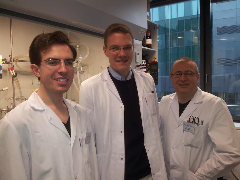 Danny Müller (TU Wien), Georg Steinhauser (Leibniz Universität Hannover) und Peter Weinberger (TU Wien); v.l.n.r. 