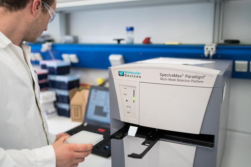 Mit modernster Labortechnik will das diesjährige iGEM-Team eine Möglichkeit finden, Nootkatone günstig herzustellen.