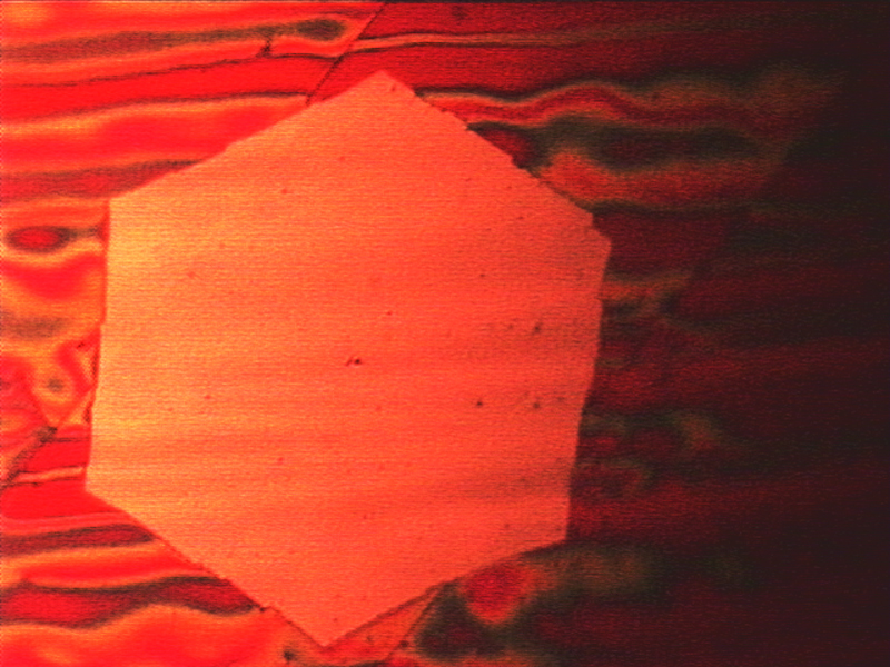 Mit bloßem Auge erkennbar: Ein hauchdünner Graphen-Flake, der durch Chemical Vapor Deposition gewonnen wurde. Die rote Färbung der Kupferunterlage entsteht, wenn die Probe an Luft erhitzt wird.