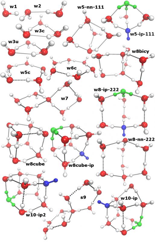 Verschiedene Cluster von Wassermolekülen: Manche sind dazu in der Lage, negativ geladene Hydroxid-Ionen (blau) und positiv geladene Hydronium-Ionen (grün) zu stabilisieren. 