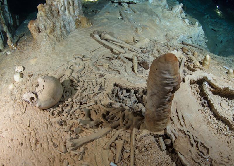 Prehistoric human skeleton in the Chan Hol Cave near Tulúm on the Yucatán peninsula prior to looting by unknown cave divers.