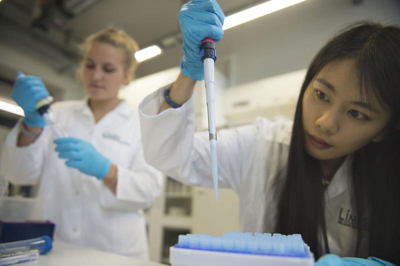 Internationale Wissenschaftler: Gerade auch in den Lebenswissenschaften (hier ein Bild aus dem LIMES-Institut) ist die Universiät Bonn für internationale Gäste attraktiv.
