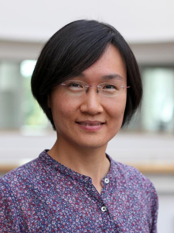 Wanzheng Hu receives ERC Starting Grant