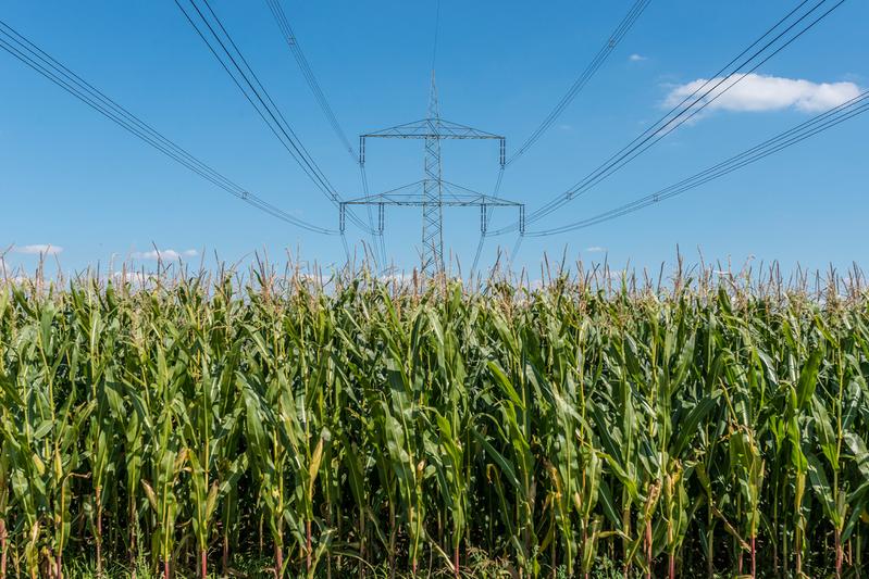 Drop-in Kraftstoff aus Biomasse und elektrischer Energie.