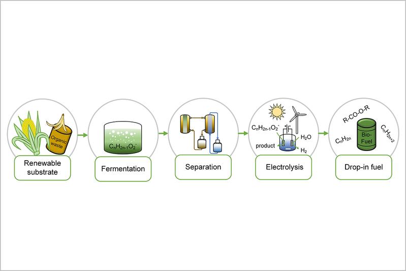 Vereinfachte Darstellung des kombinierten mikrobiellen elektrochemischen Verfahrens.