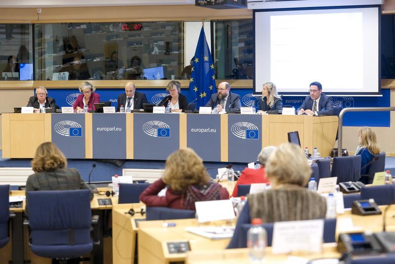 DGWF-Vorstandsmitglied Dr. Margot Klinkner bei der öffentlichen Anhörung des CULT-Ausschusses im EU-Parlament (2. v.l.)