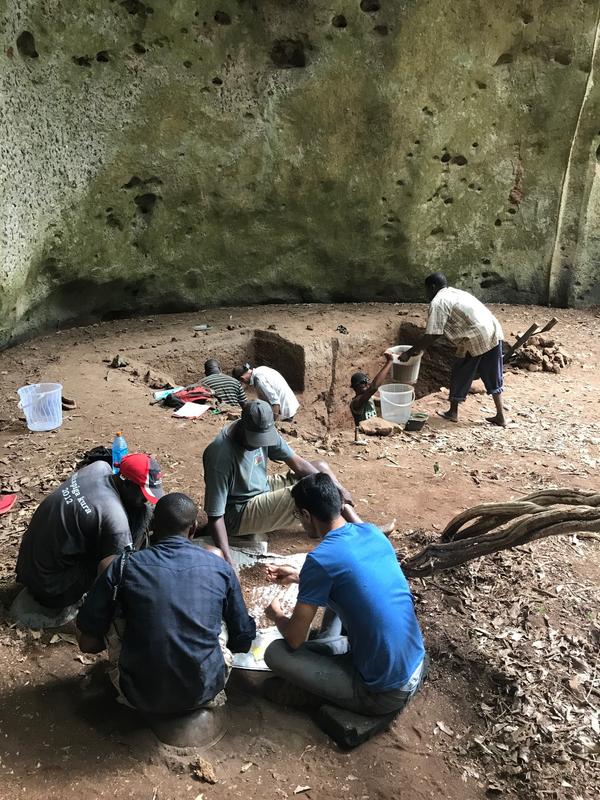 Ausgrabungen in der Panga ya Saidi Hoehle in Kenia durch ein internationales Team vom Max-Planck-Institut fuer Menschheitsgeschichte  und dem Nationalmuseum in Kenia.