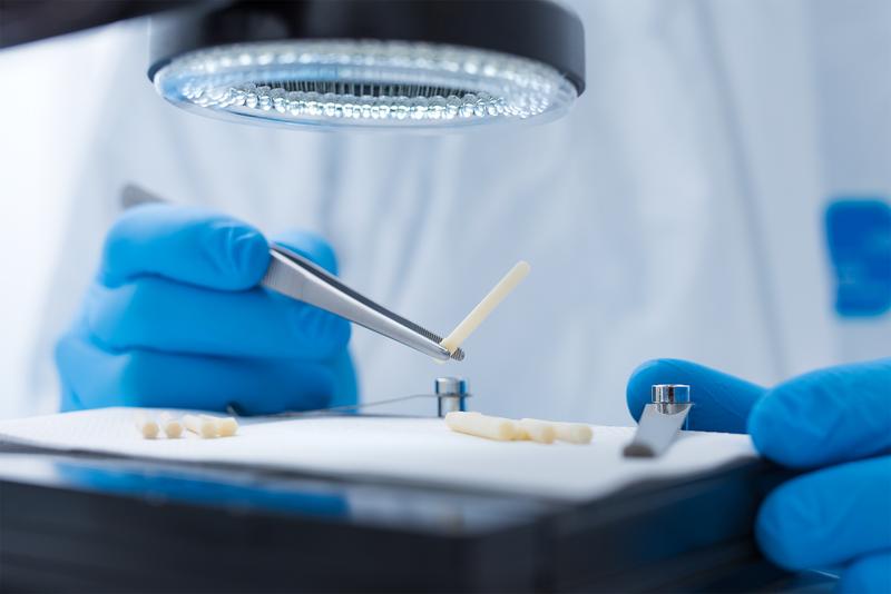 Am Institut für Biomechanik der TU Graz wurden komplexe biomechanische Untersuchungen der Knochenschrauben durchgeführt.