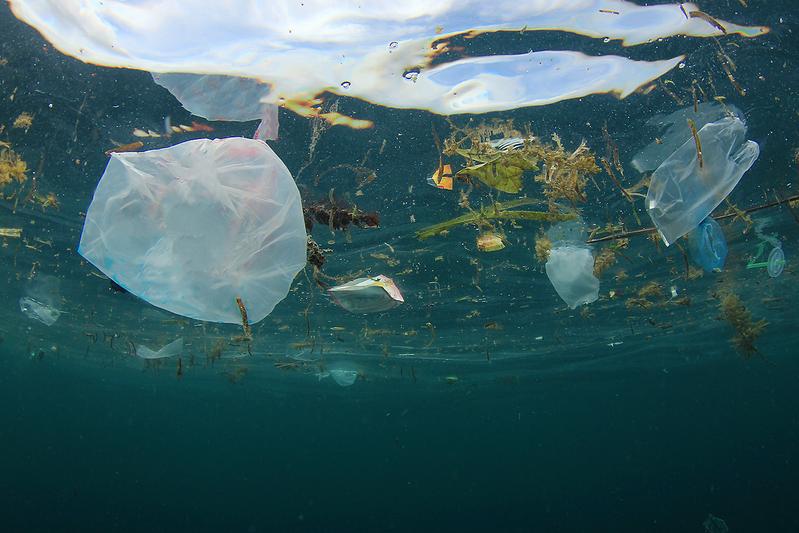 Jedes Jahr gelangen Millionen Tonnen Plastikmüll ins Meer – ein globales Umweltproblem mit ökologischen Folgen. 