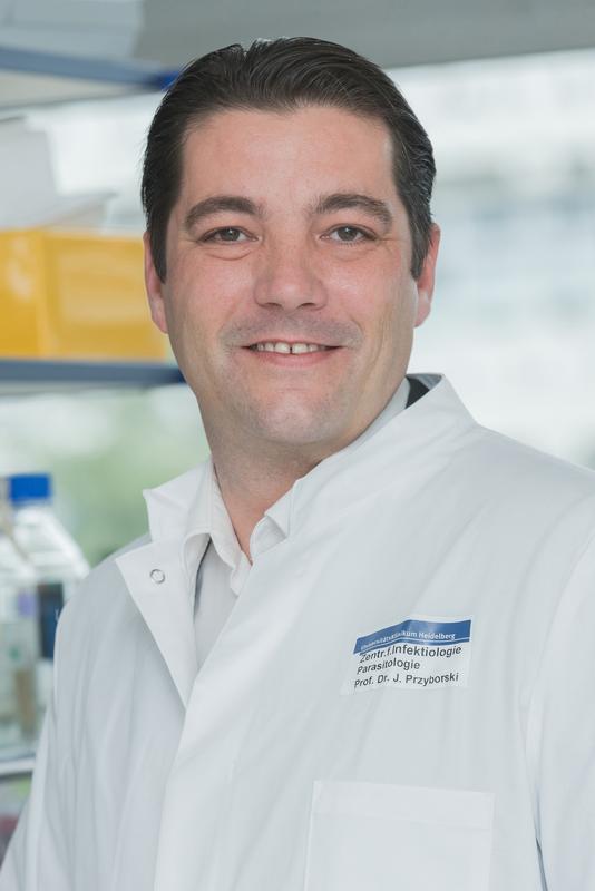 Heisenberg-Stipendiat Dr. Jude Przyborski erforscht den Malaria-Erreger Plasmodium falciparum. 