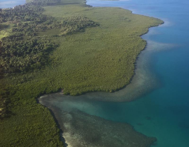 Luftaufnahme der Küstenlinie im Osten der Insel Viti Levu in Fidschi. 