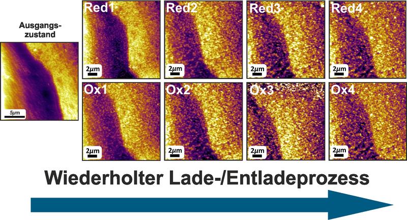 Aufnahme mittels in-situ-Rasterkraft-Mikroskopie: Veränderung der Elektroden-Oberfläche über vier Lade- / Entladezyklen (Redox-Zyklen) hinweg