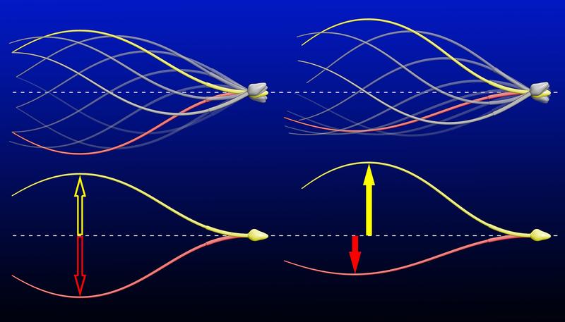 Figure 1. Steering by a temporal break of the beat symmetry.