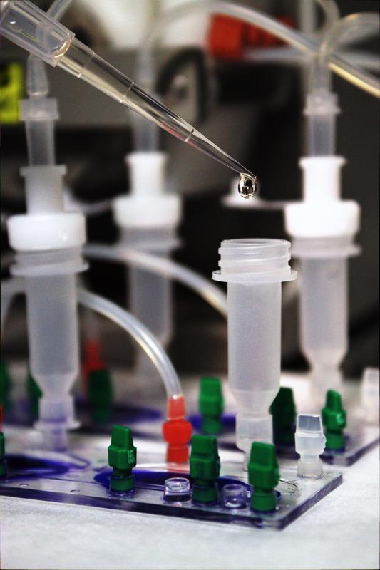 Für die Entwicklung von Organ-Biochips, die in der biomedizinischen Forschung Tierversuche ersetzen können, geht der Tierschutz-Forschungspreis des BMEL an PD Dr. Alexander Mosig vom Uniklinikum Jena