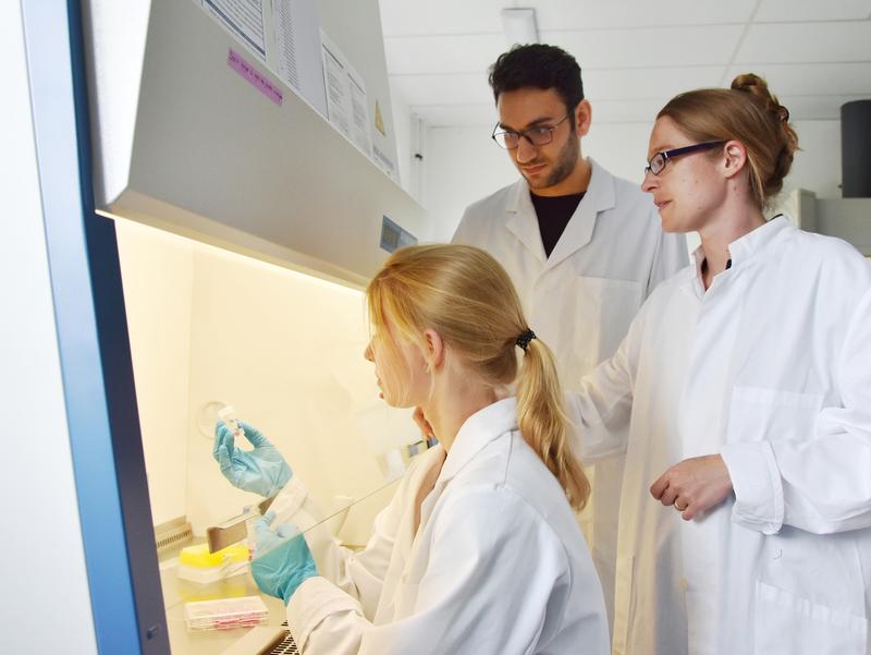 Selhuber-Unkel (right), Taale and Arndt from the Institute for Materials Science at Kiel University colonise the new biomaterial with cells in the laboratory at the Faculty of Engineering