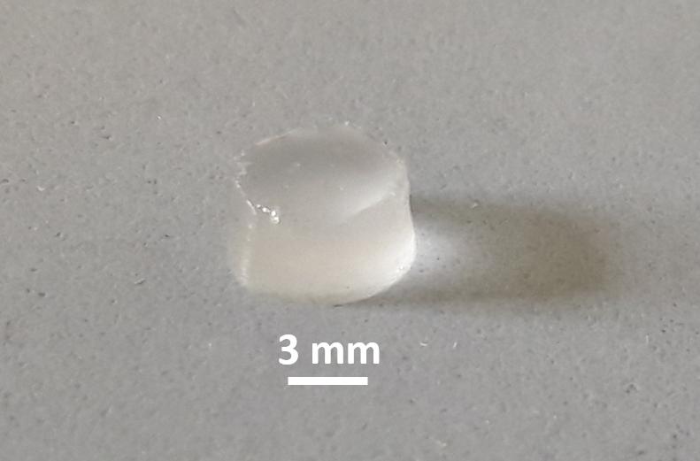 The novel biomaterial could be used for implants in the field of regenerative medicine. The Kiel research team wants to test the marketability of the special hydrogel, using the EU grant received. 