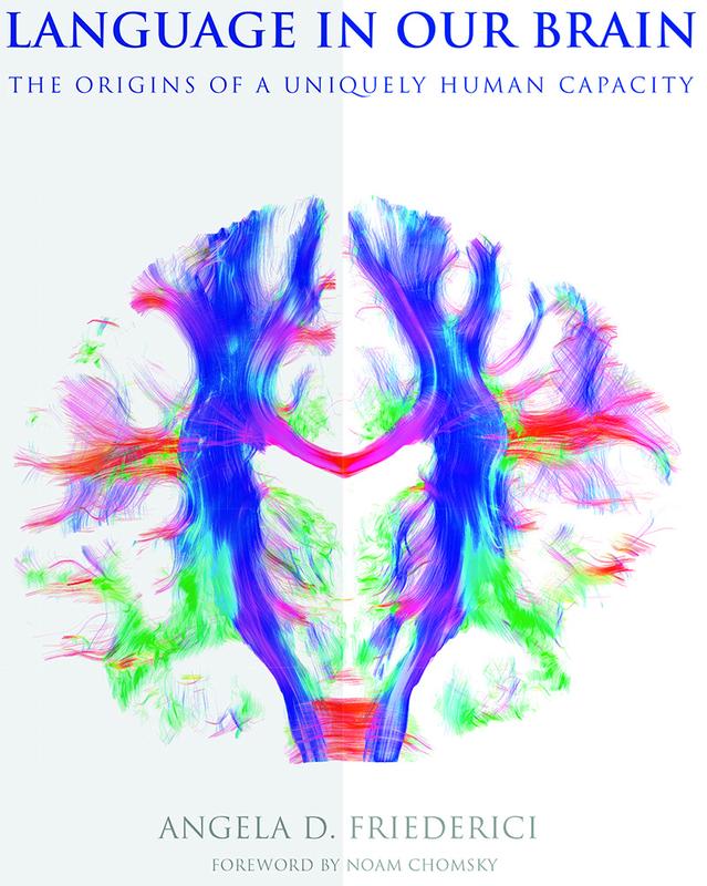 In ihrem Buch erklärt Friederici, wie die Strukturen der Sprache in unserem Gehirn zusammenspielen – und so innerhalb von Millisekunden für uns aus Lauten Wörter und schließlich Inhalte bilden