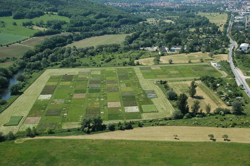 Luftbild des Jena Experiments: Parzellen der Biodiversitätsforschung.