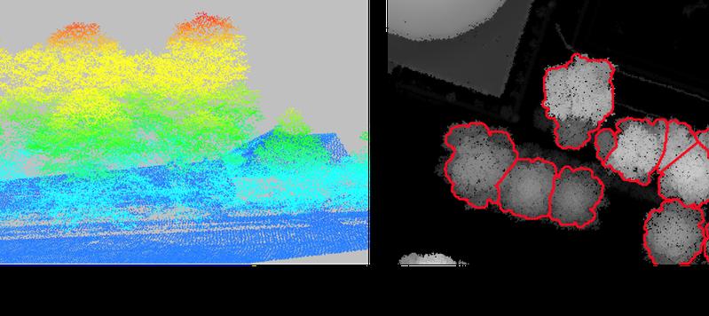 Links: 3D-Darstellung der LiDAR-Ergebnisse (verschieden Farben stehen für verschiedene Höhen über dem Boden). Rechts: Ein Algorithmus erkennt einzelne Bäume, basierend auf LiDAR-Daten.