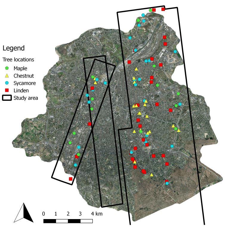 Karte des Untersuchungsgebiets in der Brüsseler Hauptstadtregion (schwarze Rahmen), mit den Standorten der Bäume mit denen die Fernerkundungsdaten überprüft wurden (farbige Symbole).