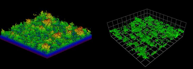 Abb. 1: 3D-Simulationsergebnis eines Biofilms (links) und 3D-CLSM Aufnahme einer Biofilmpopulation (rechts).
