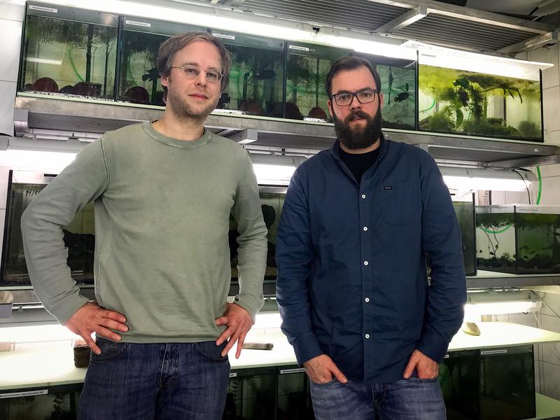 Dr. Ingolf Rick (left) and Simon Vitt from the Institute for Evolutionary Biology and Ecology of the University of Bonn.
