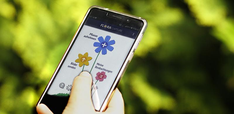 Flora Incognita - Pflanzenbestimmung mit Smartphone